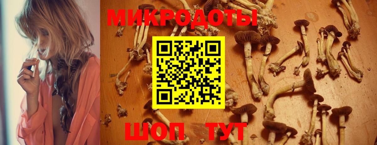 Галлюциногенные грибы мицелий  Вход с VPN  Галлюциногенные грибы MAGIC MUSHROOMS  купить   Среднеуральск 